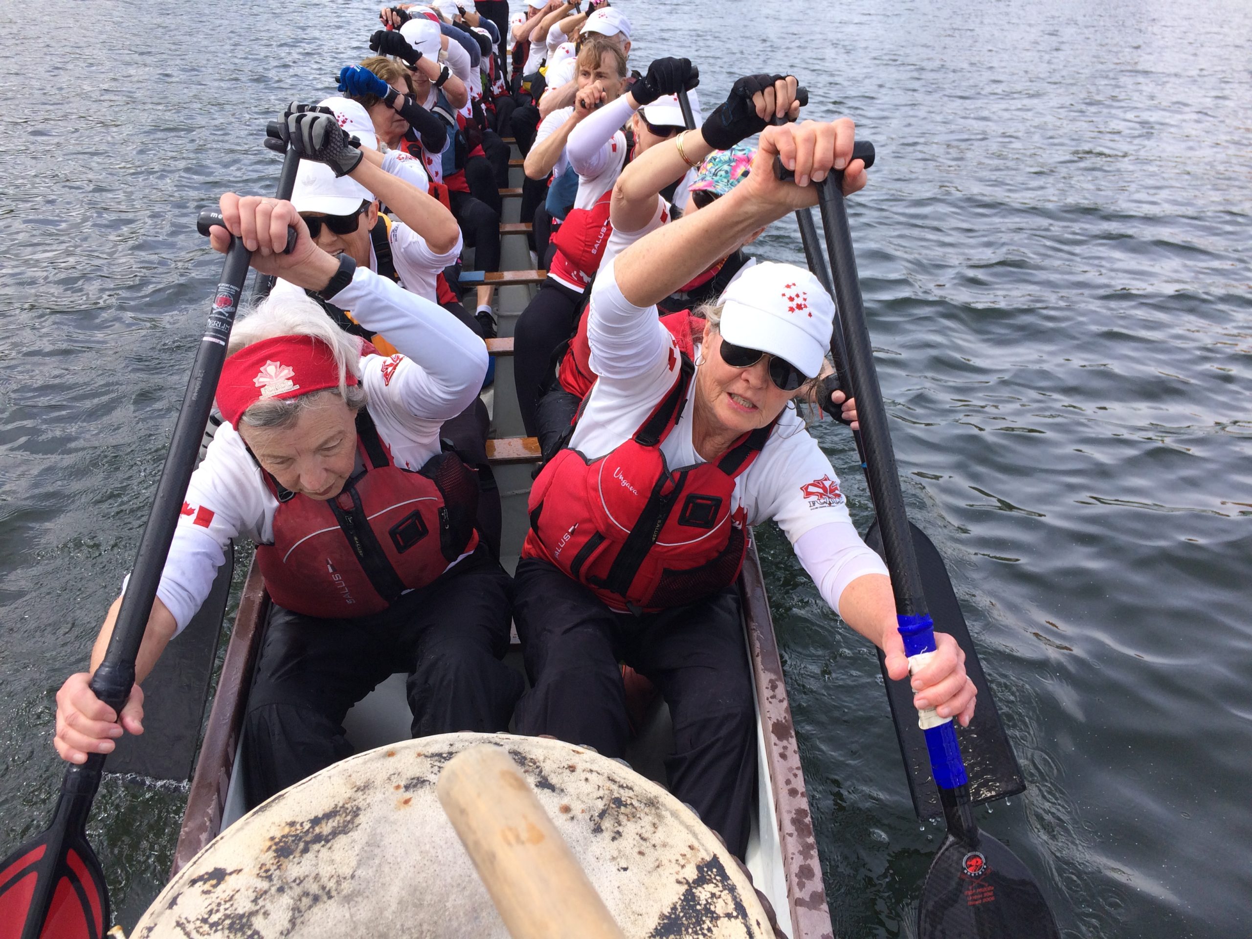 paddles up during dragon boat regatta and ready to race. looking at team from drummer seat